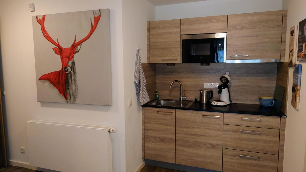 Maurers Schlierseetraum 6, Studio 455 Mit 42 Qm Neu Renoviert, Erdgeschoss Mit Eingezaeunter Terrasse In Ruhiger Lage Am Kirchbichlweg 8 외부 사진