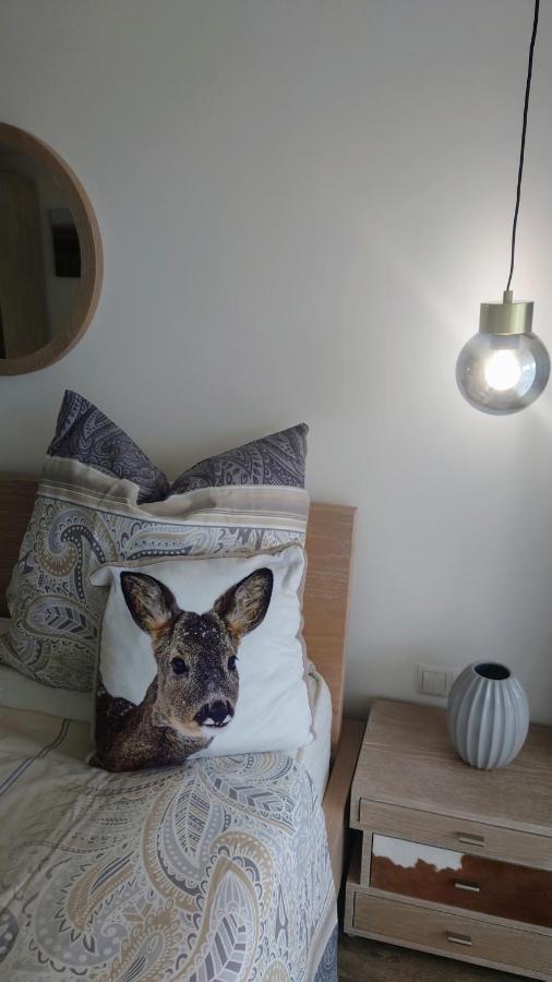 Maurers Schlierseetraum 6, Studio 455 Mit 42 Qm Neu Renoviert, Erdgeschoss Mit Eingezaeunter Terrasse In Ruhiger Lage Am Kirchbichlweg 8 외부 사진