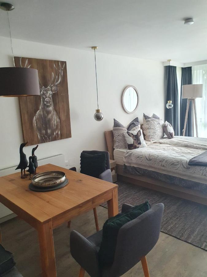 Maurers Schlierseetraum 6, Studio 455 Mit 42 Qm Neu Renoviert, Erdgeschoss Mit Eingezaeunter Terrasse In Ruhiger Lage Am Kirchbichlweg 8 외부 사진