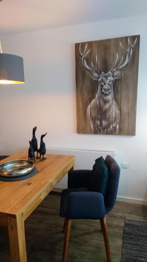Maurers Schlierseetraum 6, Studio 455 Mit 42 Qm Neu Renoviert, Erdgeschoss Mit Eingezaeunter Terrasse In Ruhiger Lage Am Kirchbichlweg 8 외부 사진